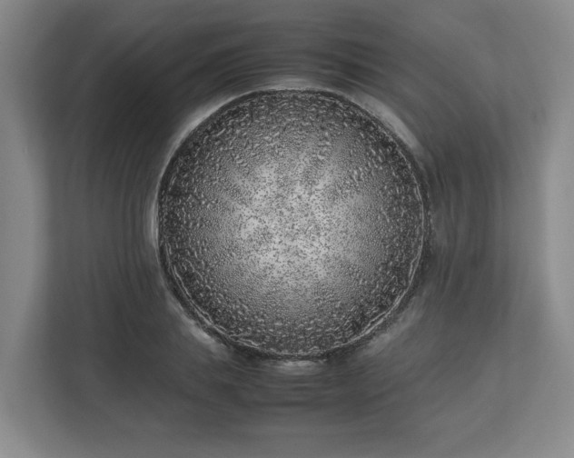 X0000113030839200909031250