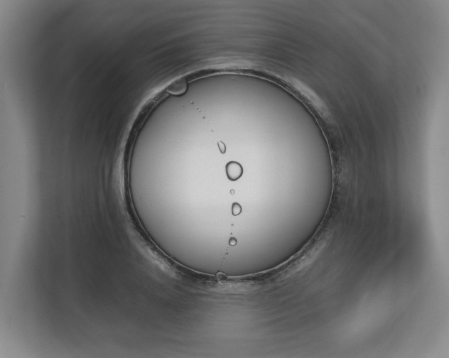 X0000113030840200909031250