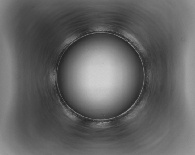 X0000113030841200909031250