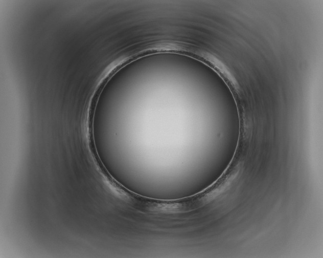 X0000113030845200909031250