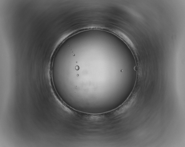 X0000113030847200909031250