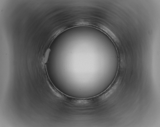 X0000113030849200909031250