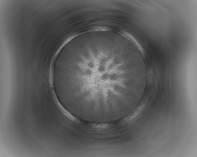 X0000113030851200909031250