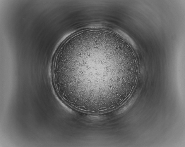 X0000113030855200909031250