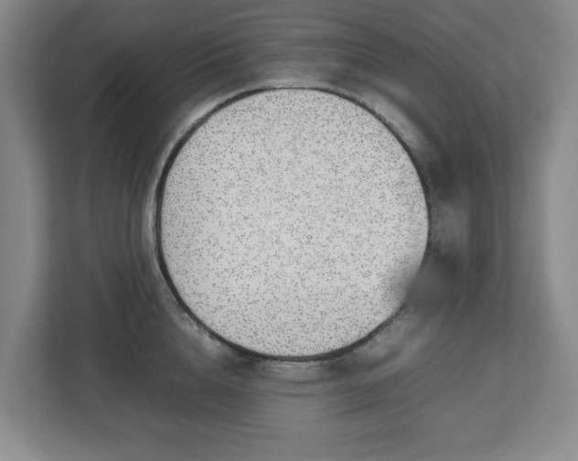 X0000113030856200909031250