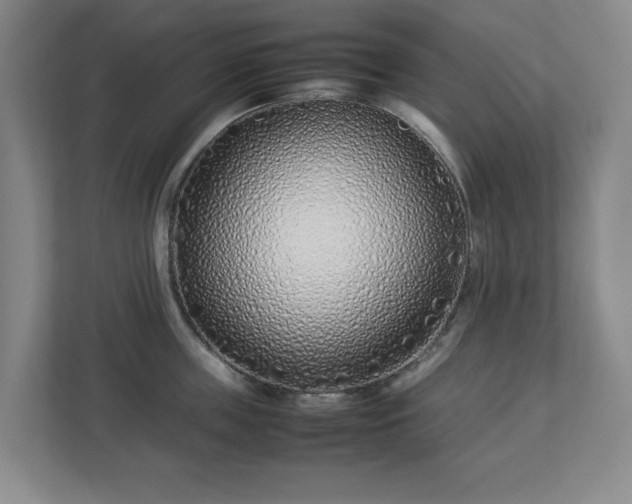 X0000113030859200909031250