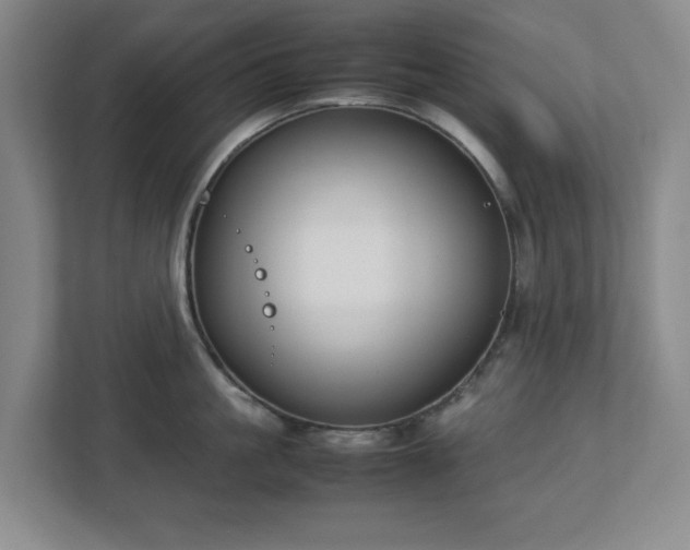 X0000113030861200909031250