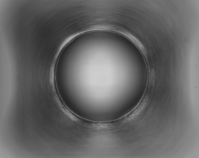 X0000113030862200909031250