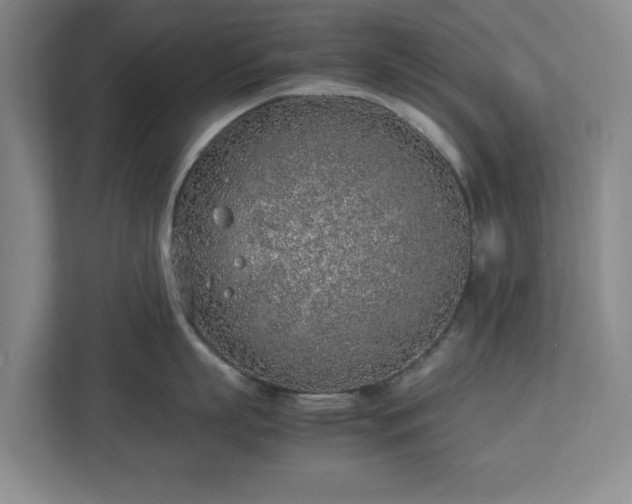 X0000113030863200909031250