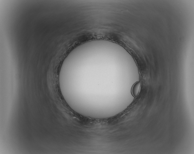 X0000113030865200909031250