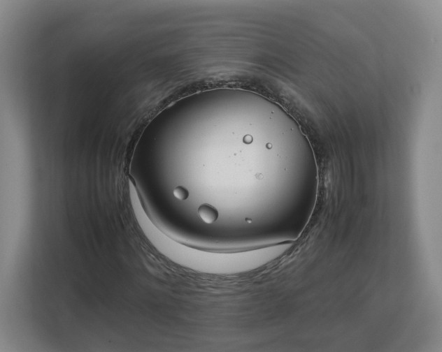 X0000113030868200909031249