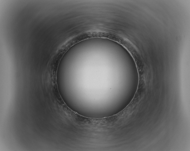 X0000113030870200909031249