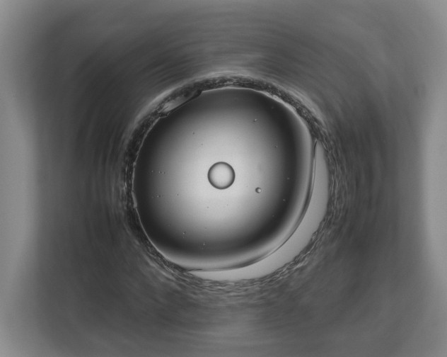 X0000113030872200909031249