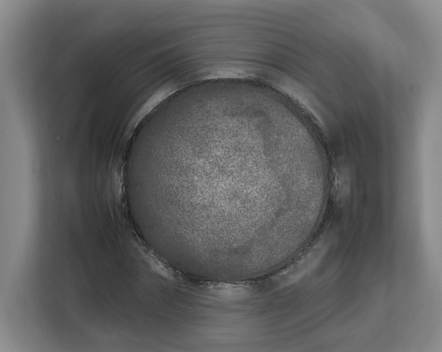 X0000113030874200909031249