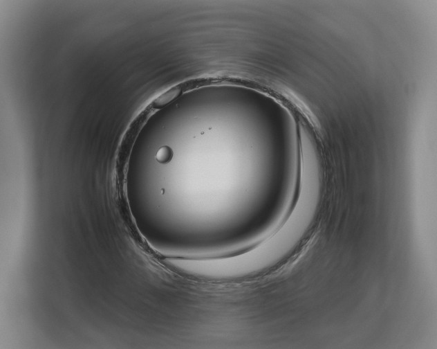 X0000113030876200909031249