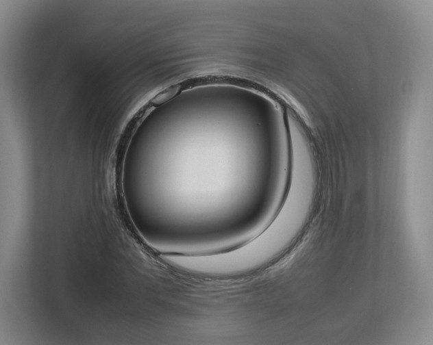 X0000113030877200909031249