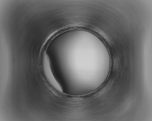 X0000113030878200909031249