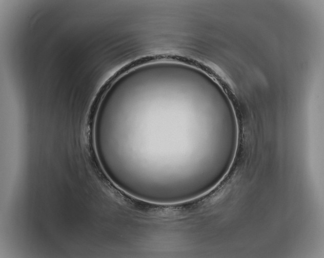 X0000113030879200909031249