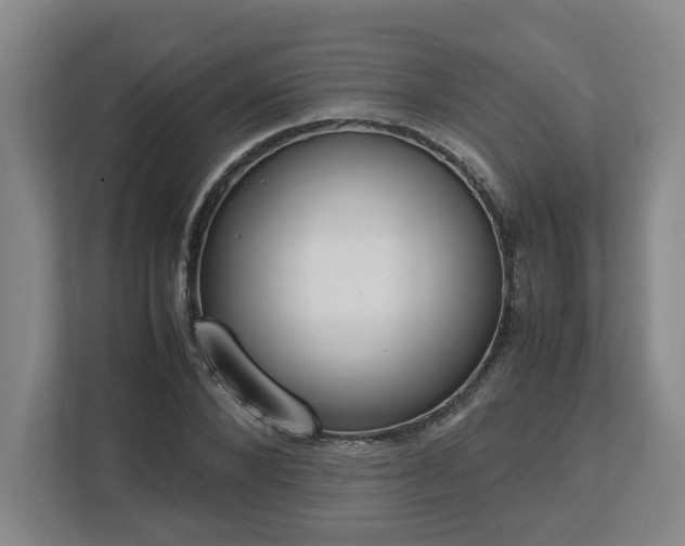 X0000113030880200909031249