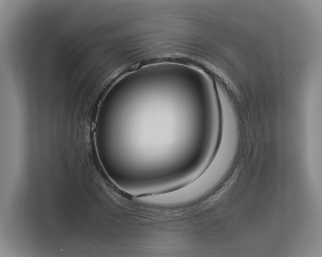 X0000113030881200909031249