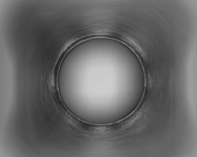 X0000113030883200909031249