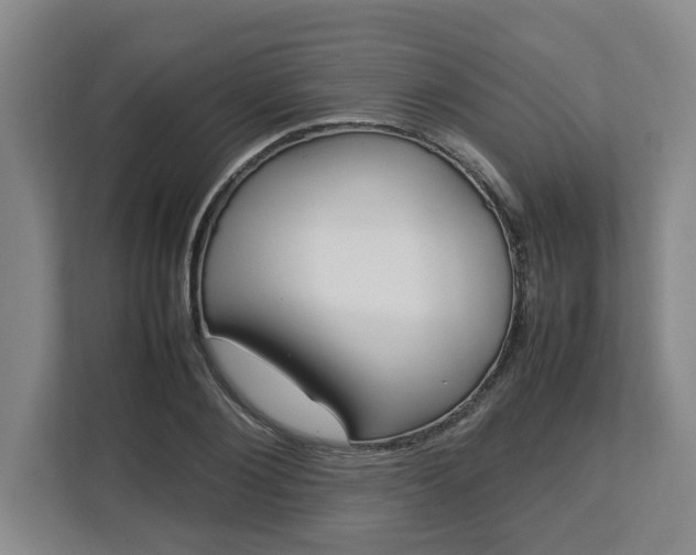 X0000113030884200909031249