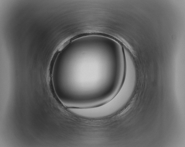 X0000113030885200909031249