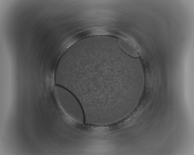 X0000113030889200909031249