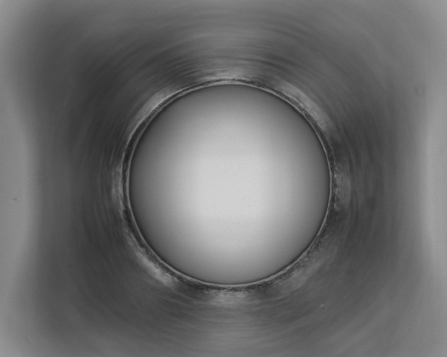 X0000113030890200909031249