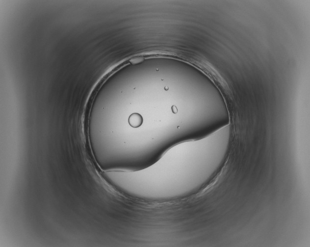 X0000113030892200909031249