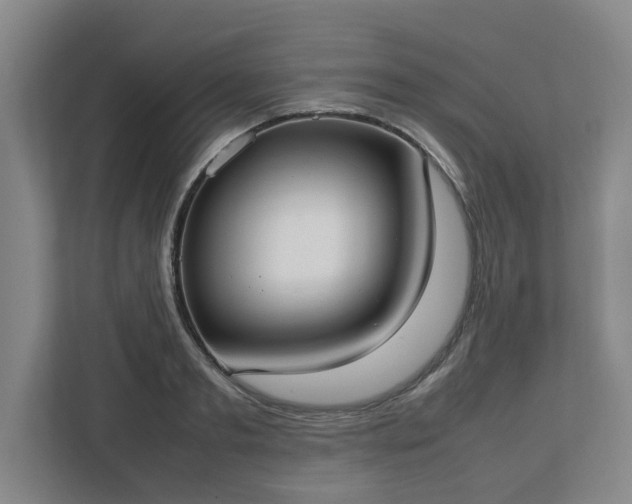 X0000113030893200909031249