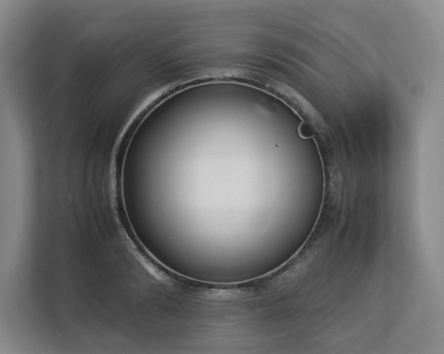 X0000113030894200909031249