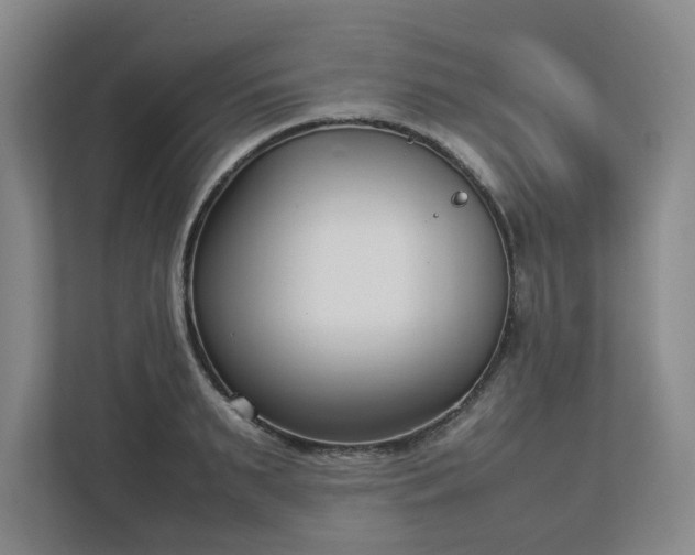 X0000113030895200909031249