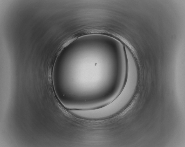 X0000113030897200909031249