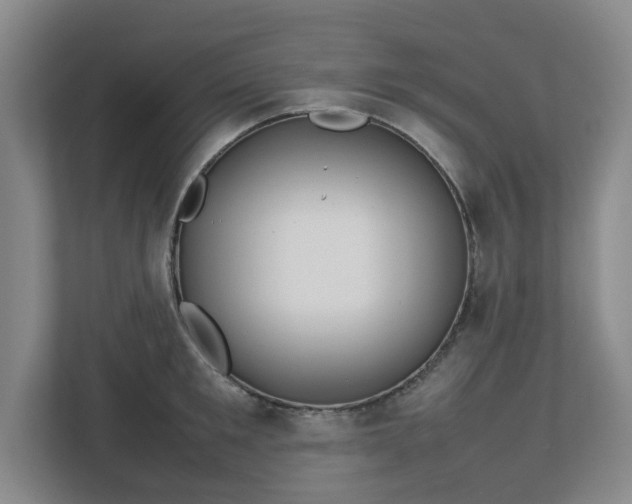 X0000113030901200909031249