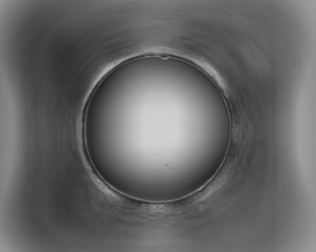 X0000113030903200909031249