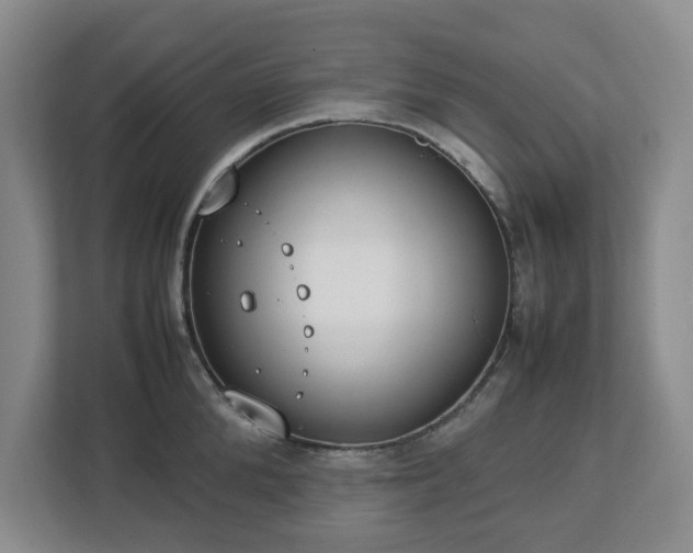 X0000113030904200909031249