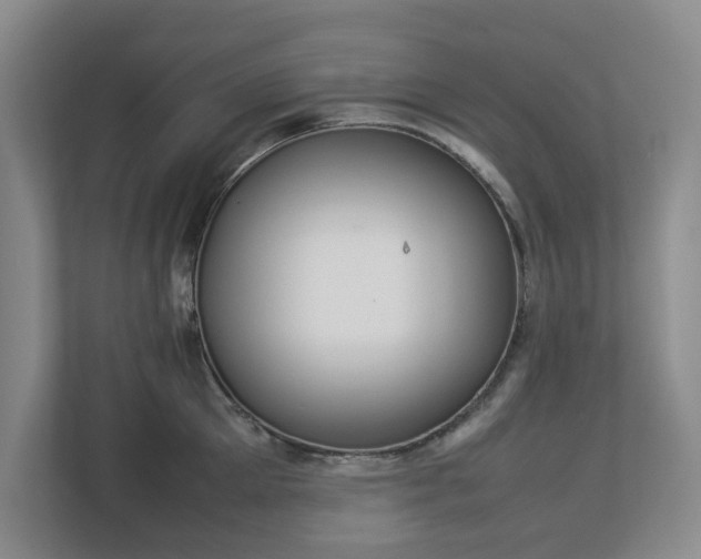 X0000113030905200909031249