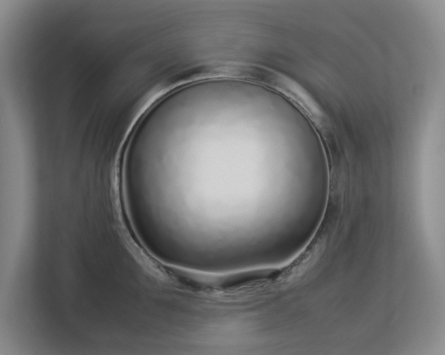 X0000113030907200909031249