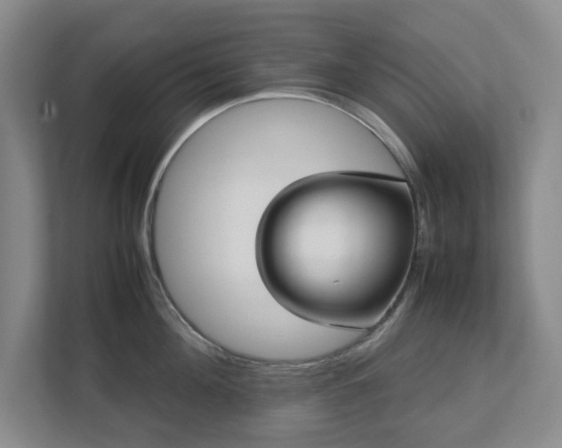 X0000113030908200909031249