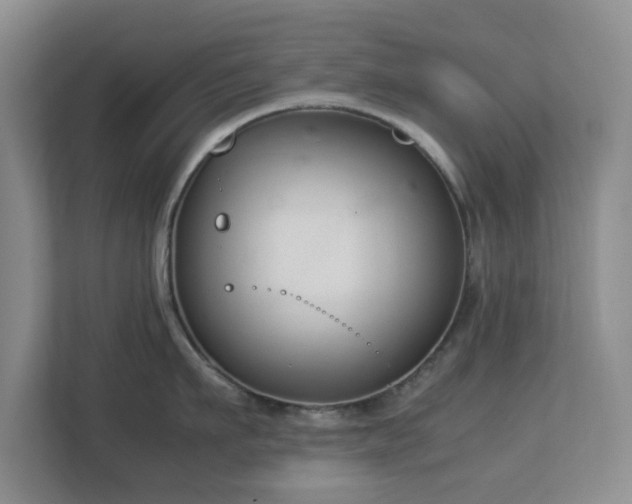 X0000113030911200909031249