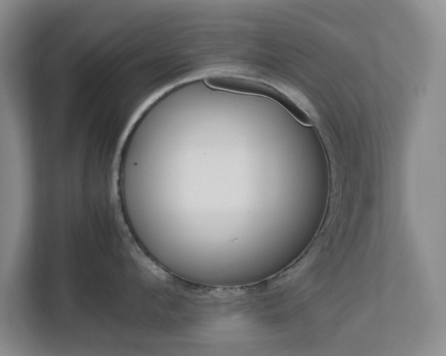 X0000113030912200909031249