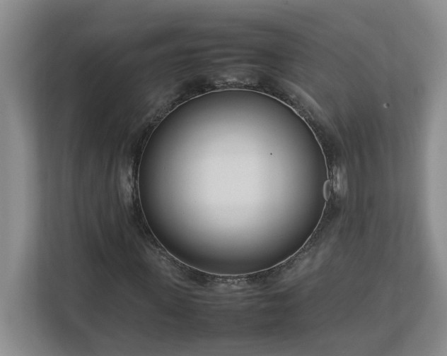 X0000113030915200909031248