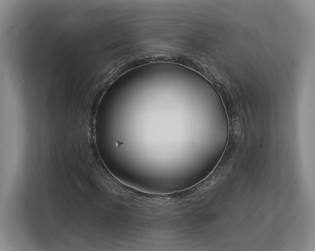 X0000113030916200909031248