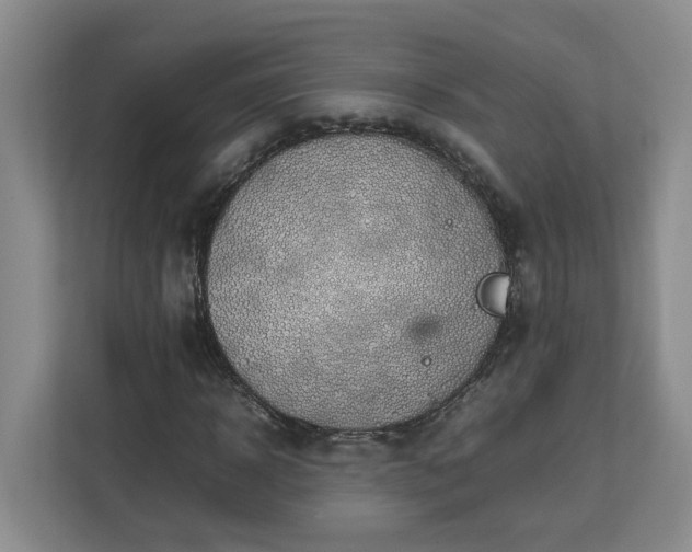 X0000113030918200909031248