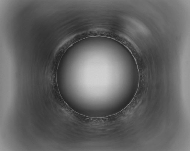 X0000113030919200909031248