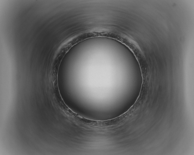 X0000113030920200909031248