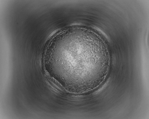 X0000113030921200909031248