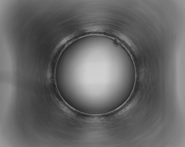 X0000113030922200909031248