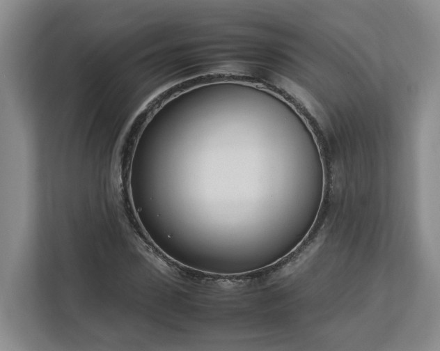 X0000113030923200909031248